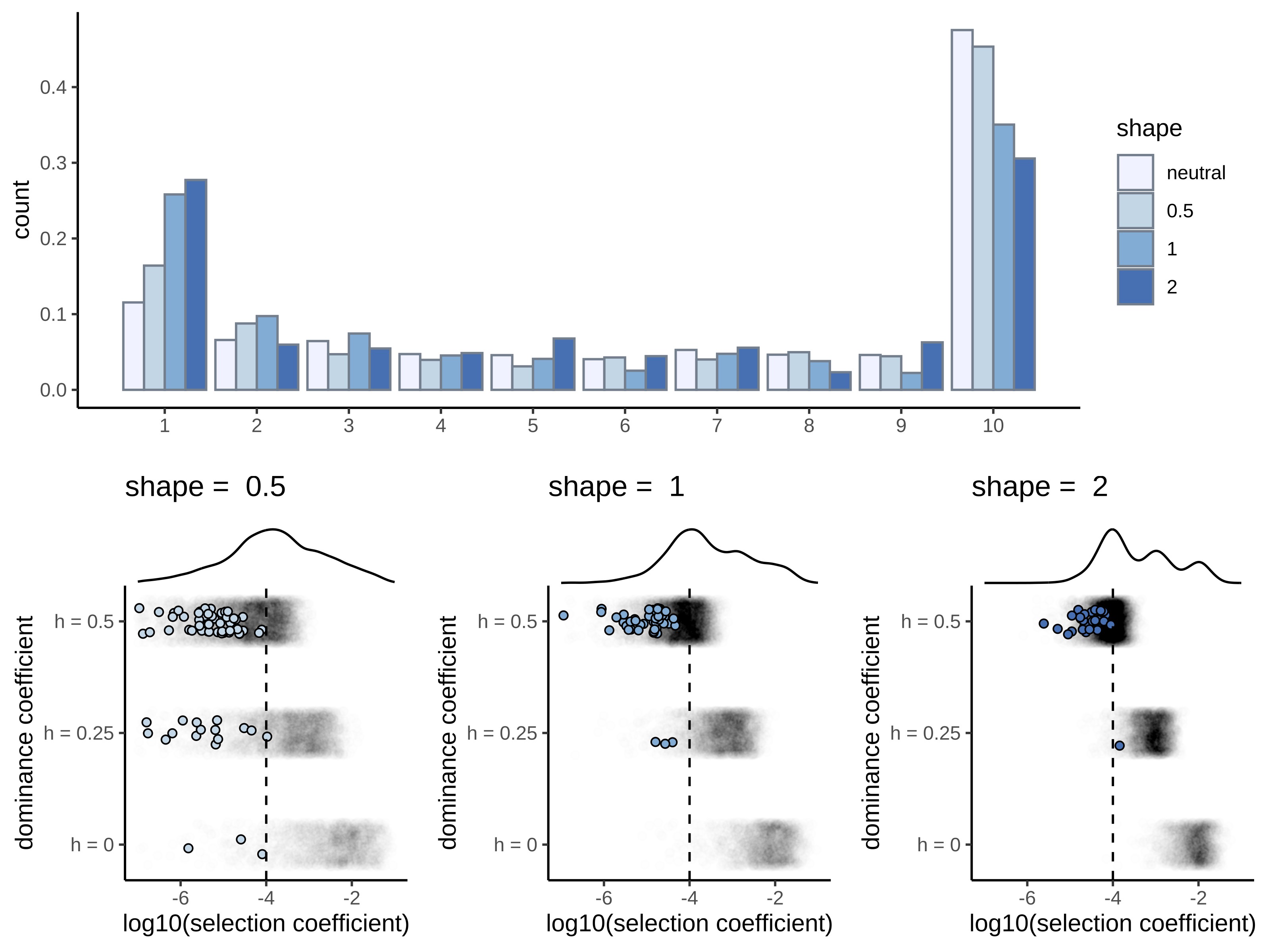 Mutation Load Dynamics